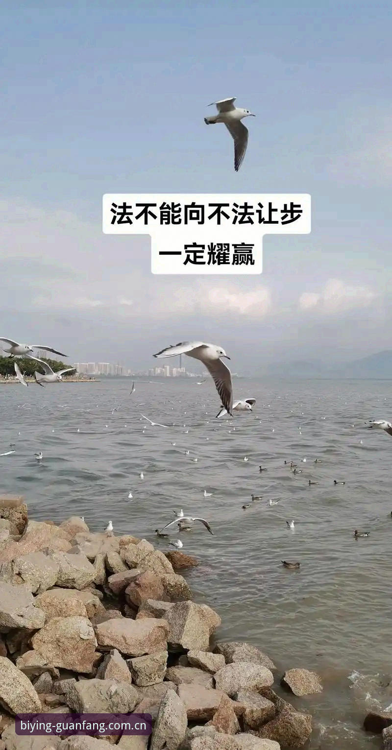 必赢平台最新版本常见问题排查教程：必赢体育平台从安装到流畅使用的创新操作指南